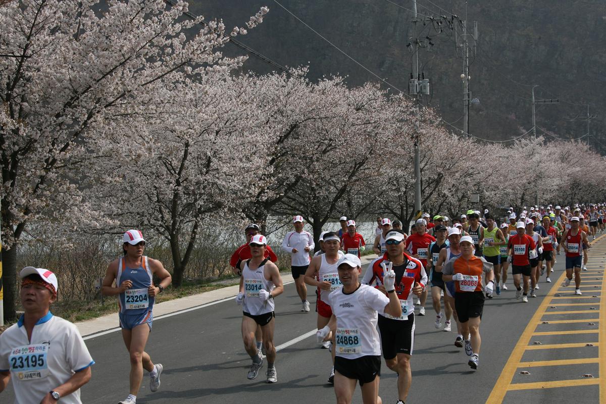 제6회 합천 벚꽃축제 마라톤대회