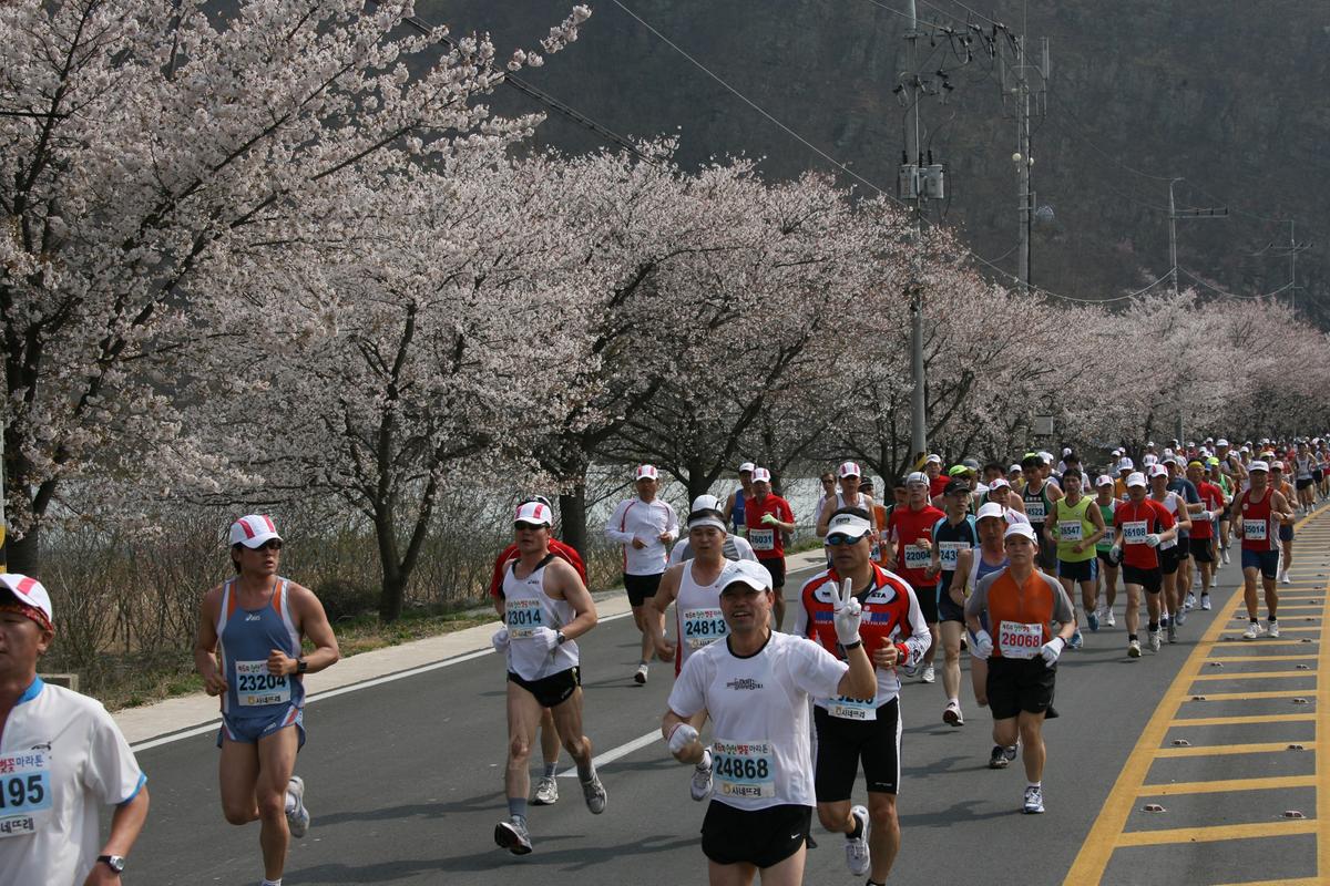 제6회 합천 벚꽃축제 마라톤대회