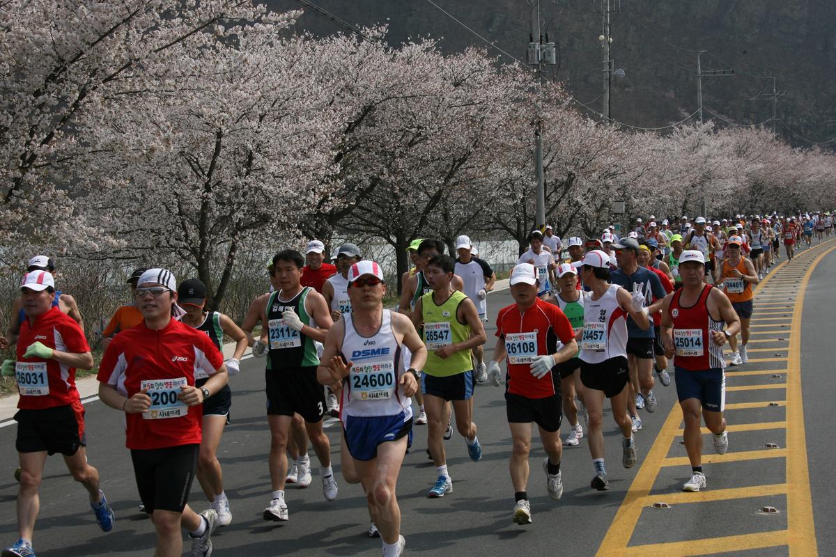 제6회 합천 벚꽃축제 마라톤대회