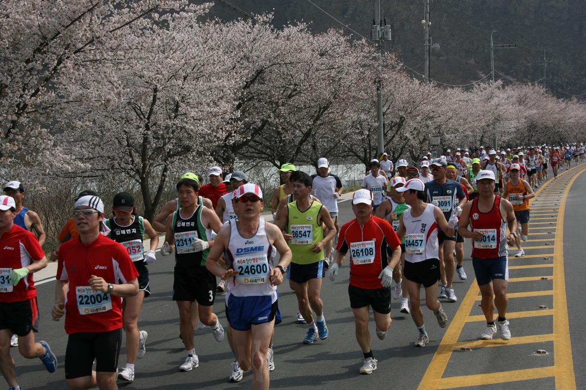 제6회 합천 벚꽃축제 마라톤대회