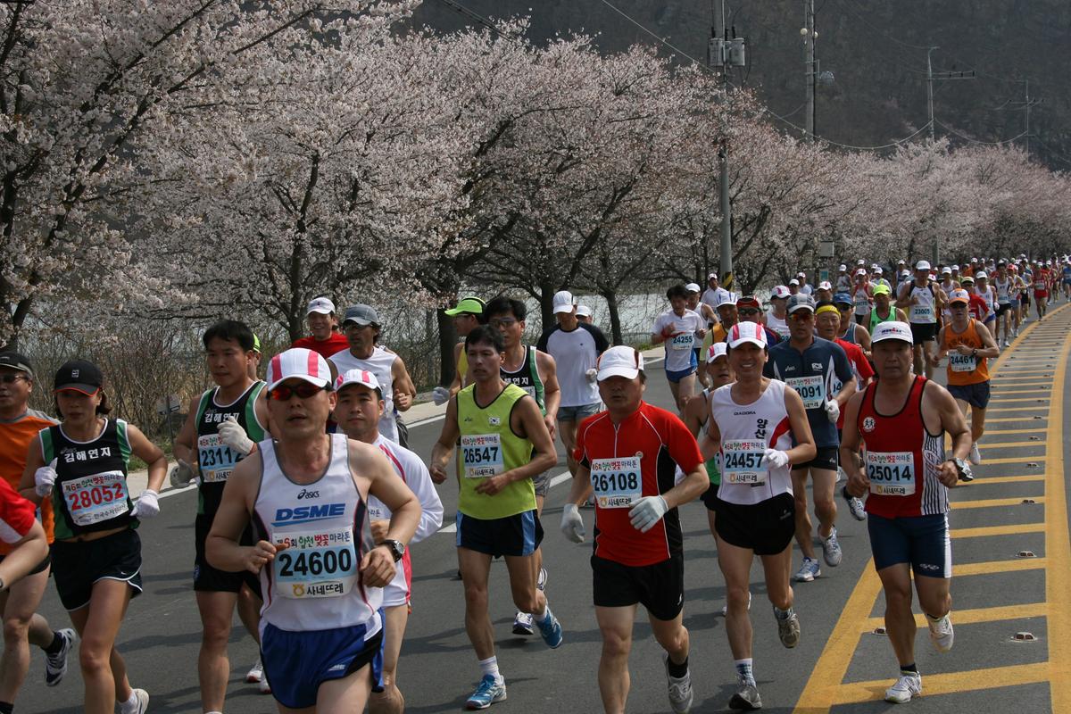 제6회 합천 벚꽃축제 마라톤대회