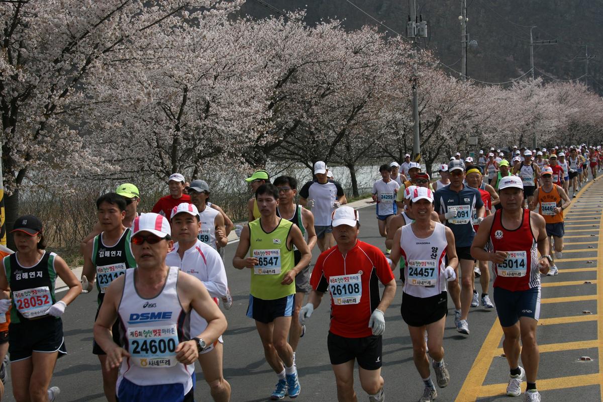 제6회 합천 벚꽃축제 마라톤대회