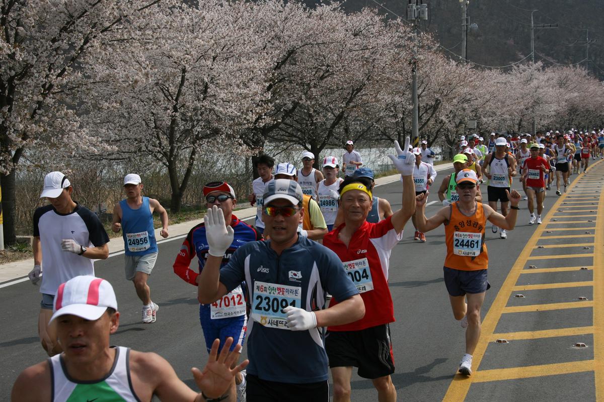 제6회 합천 벚꽃축제 마라톤대회