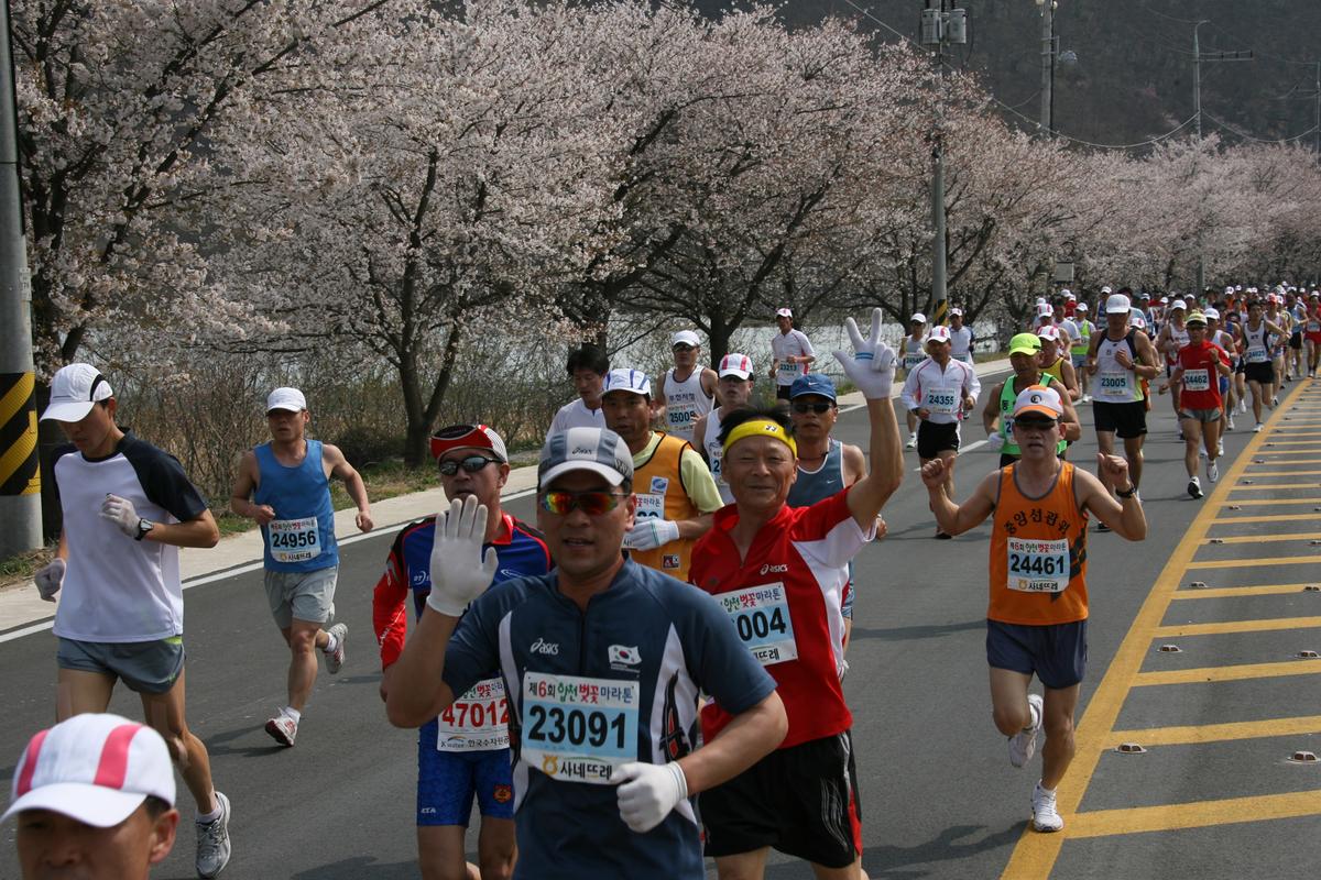 제6회 합천 벚꽃축제 마라톤대회