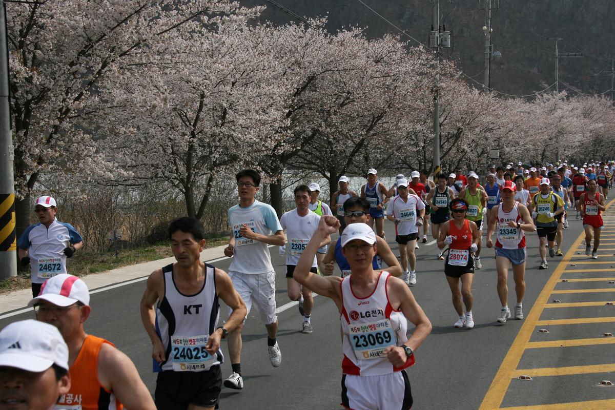 제6회 합천 벚꽃축제 마라톤대회
