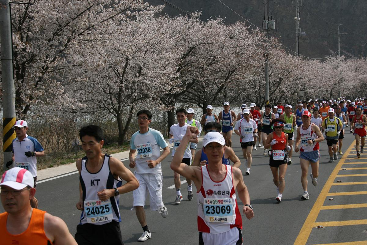 제6회 합천 벚꽃축제 마라톤대회