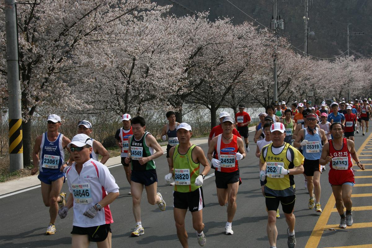 제6회 합천 벚꽃축제 마라톤대회