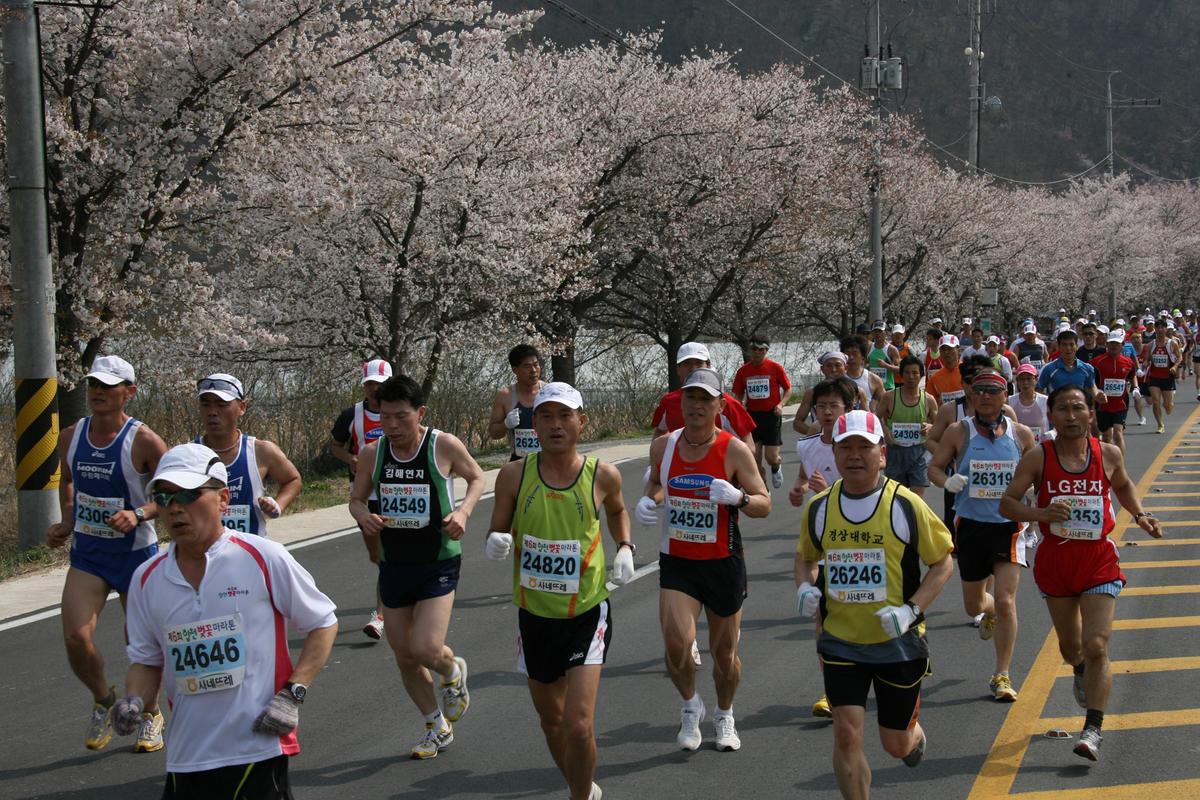 제6회 합천 벚꽃축제 마라톤대회