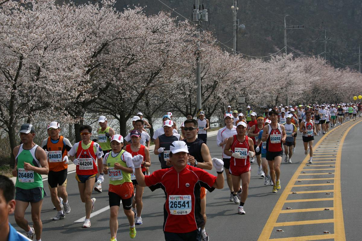 제6회 합천 벚꽃축제 마라톤대회
