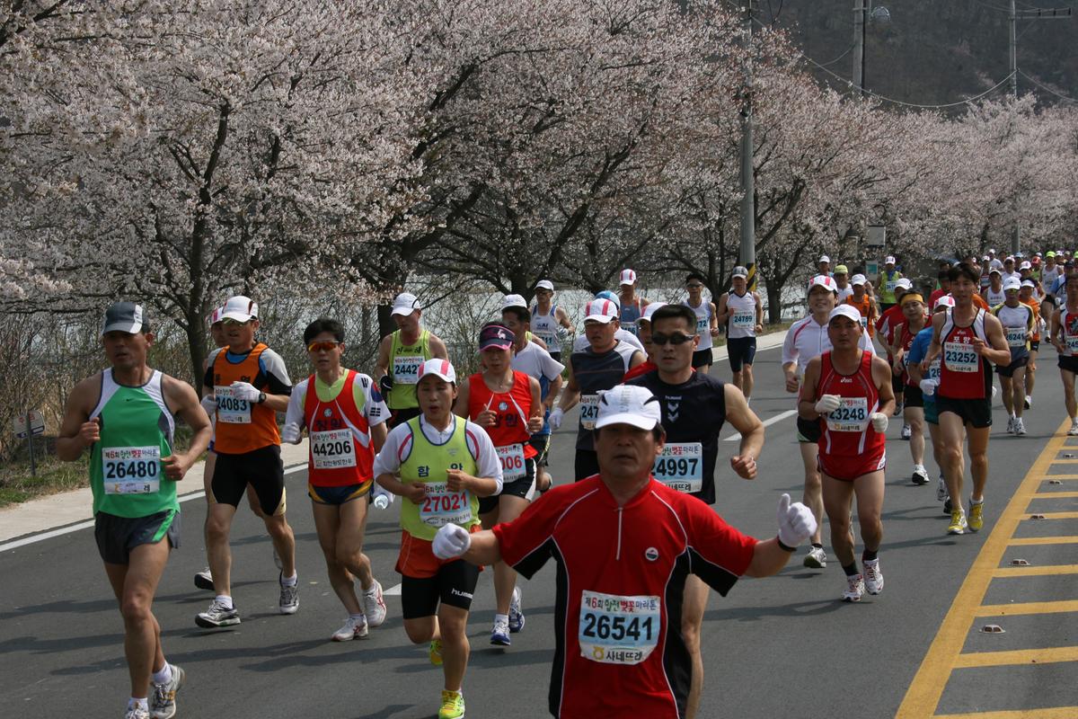 제6회 합천 벚꽃축제 마라톤대회