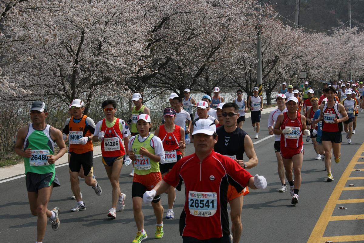 제6회 합천 벚꽃축제 마라톤대회