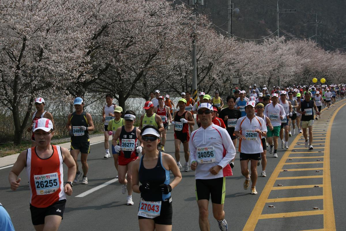 제6회 합천 벚꽃축제 마라톤대회