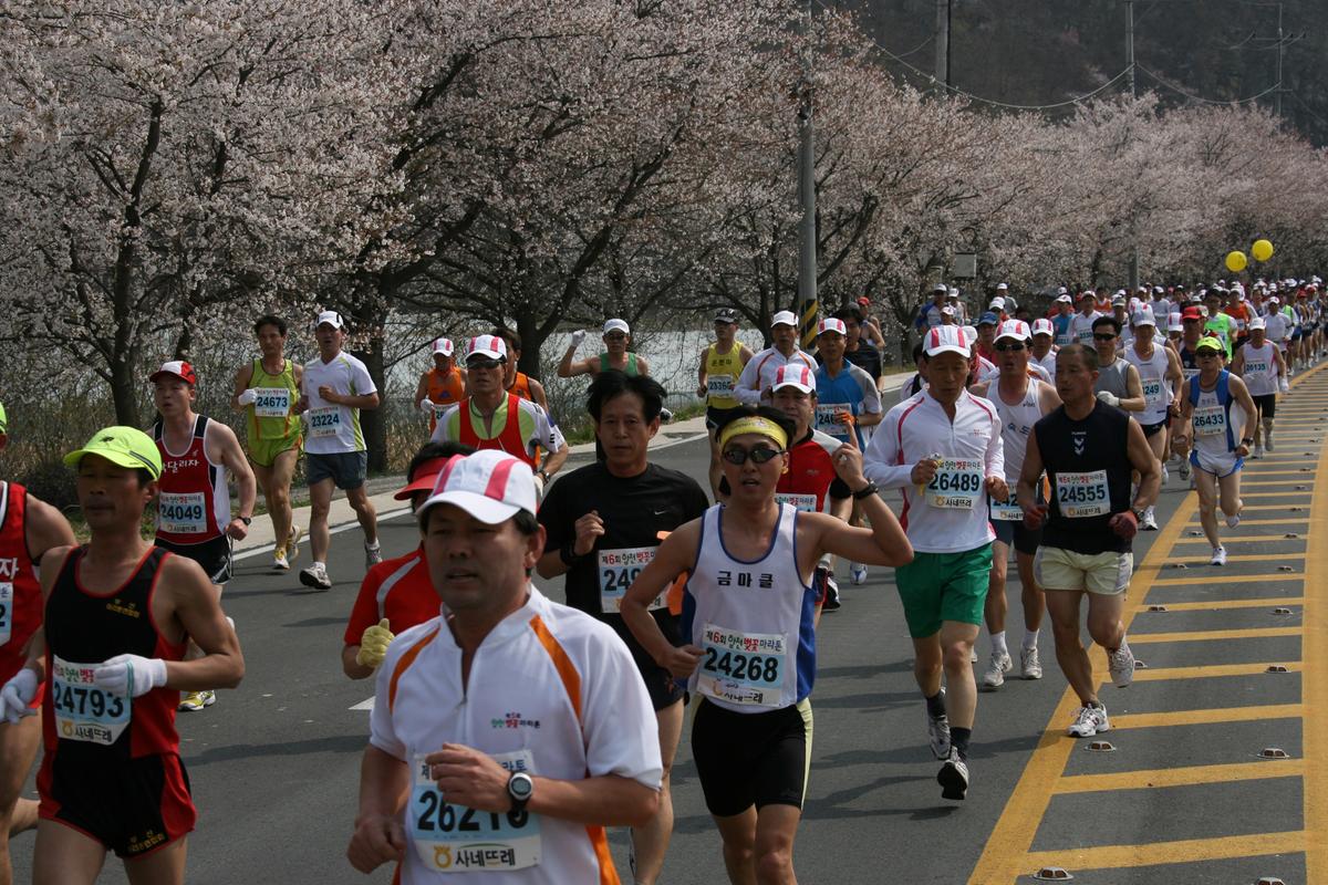 제6회 합천 벚꽃축제 마라톤대회