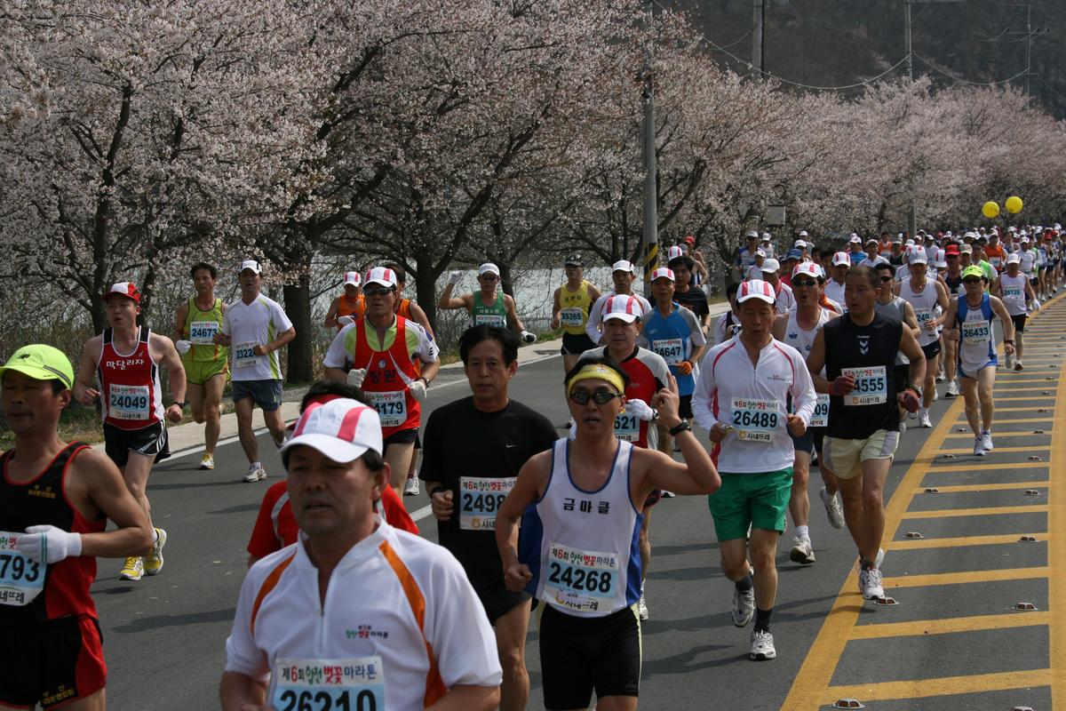 제6회 합천 벚꽃축제 마라톤대회