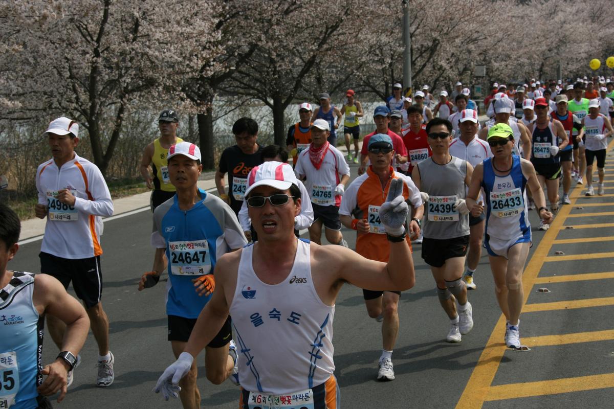 제6회 합천 벚꽃축제 마라톤대회