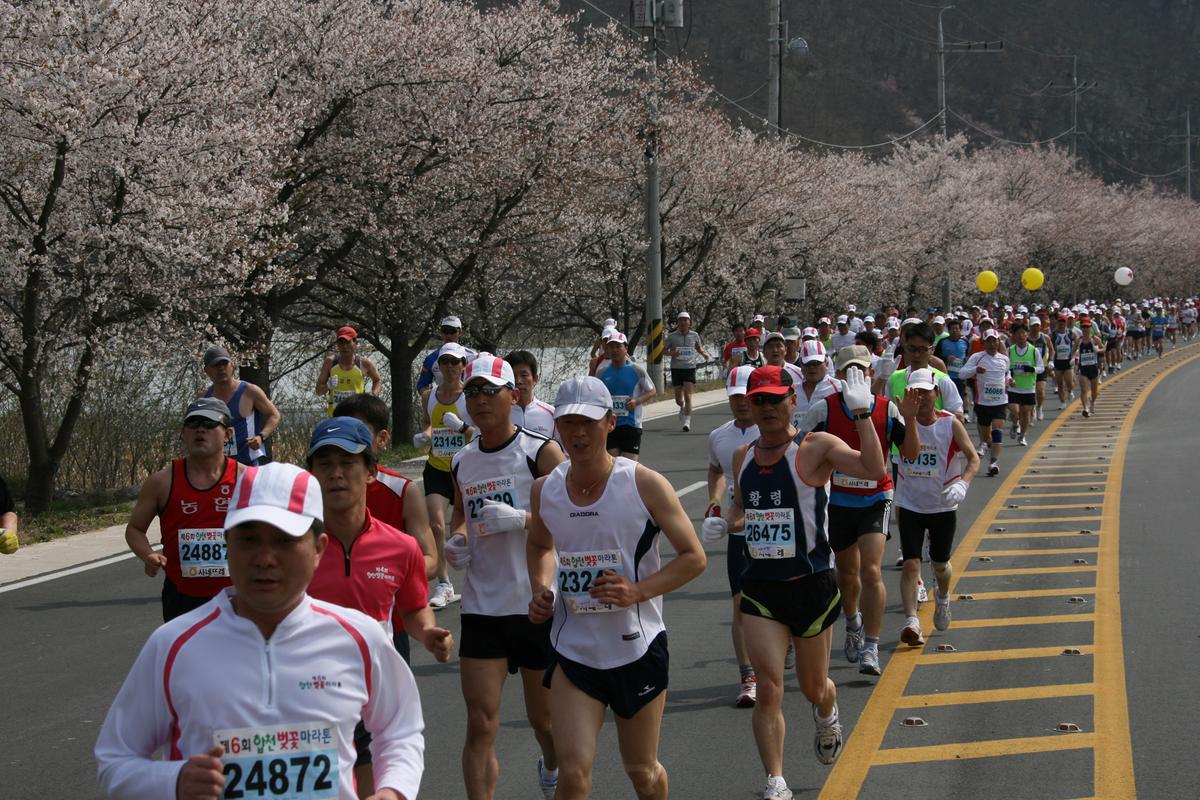 제6회 합천 벚꽃축제 마라톤대회