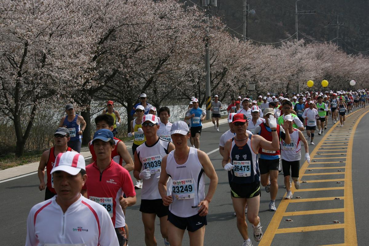 제6회 합천 벚꽃축제 마라톤대회