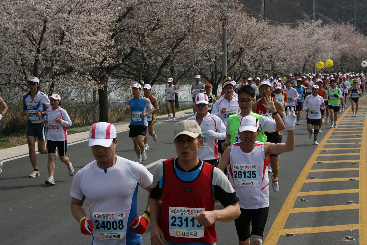 제6회 합천 벚꽃축제 마라톤대회