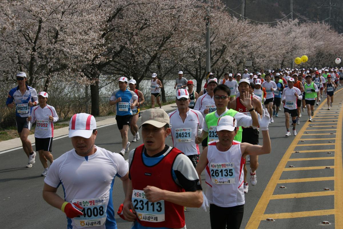 제6회 합천 벚꽃축제 마라톤대회