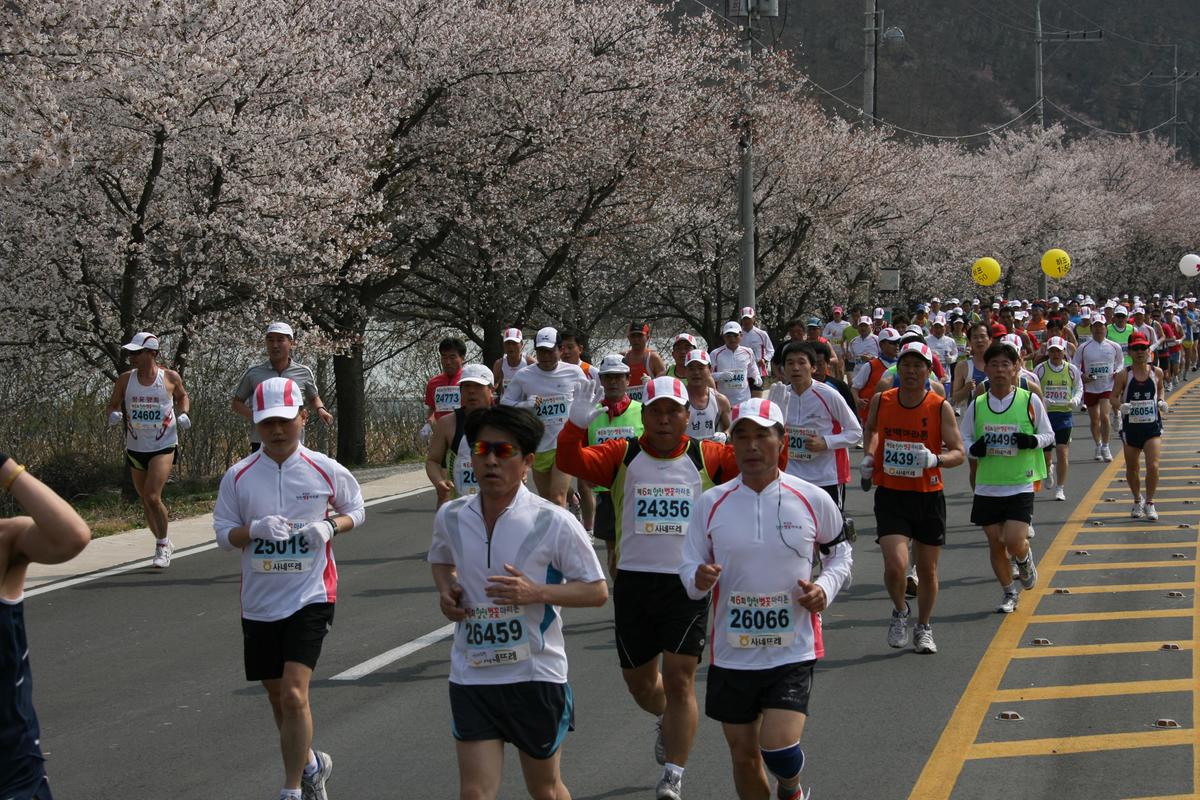 제6회 합천 벚꽃축제 마라톤대회