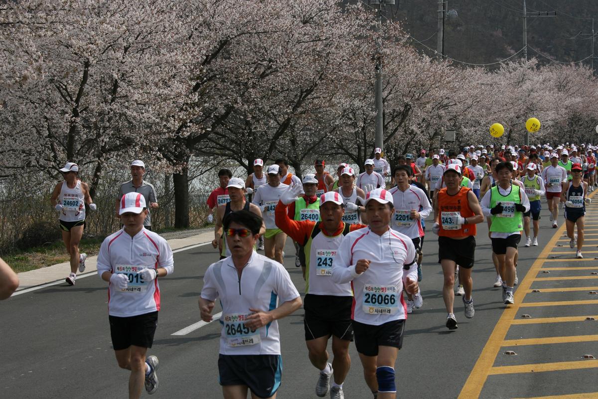 제6회 합천 벚꽃축제 마라톤대회