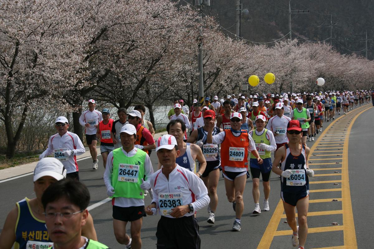 제6회 합천 벚꽃축제 마라톤대회