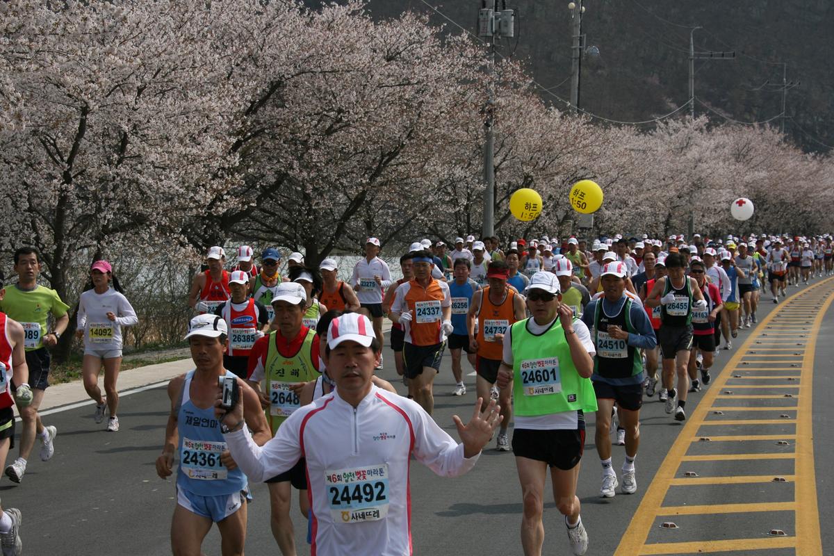 제6회 합천 벚꽃축제 마라톤대회
