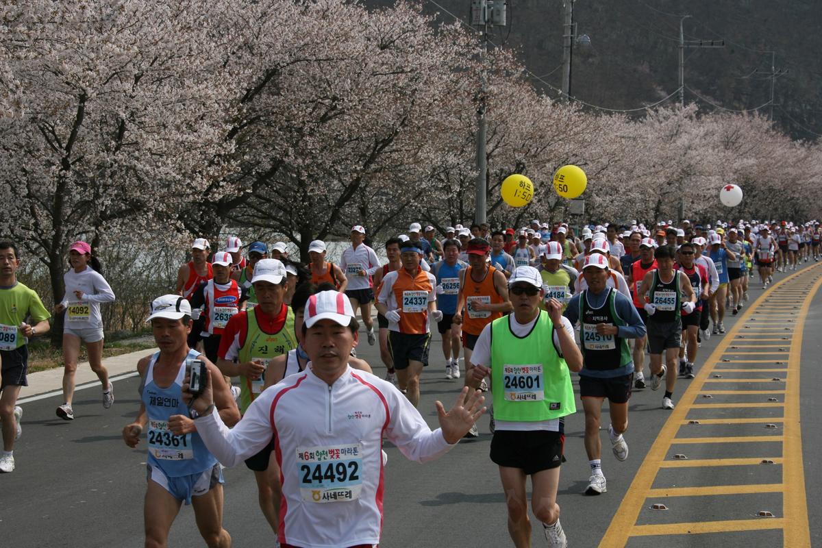 제6회 합천 벚꽃축제 마라톤대회