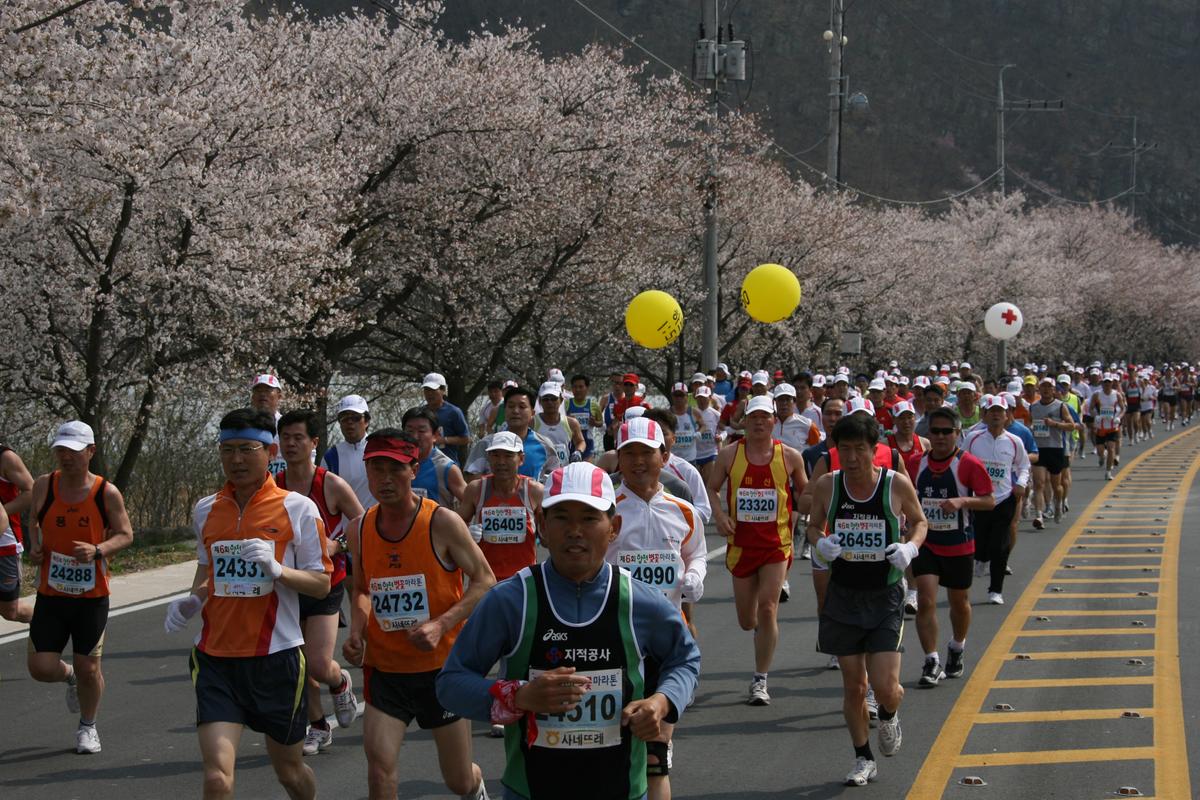 제6회 합천 벚꽃축제 마라톤대회