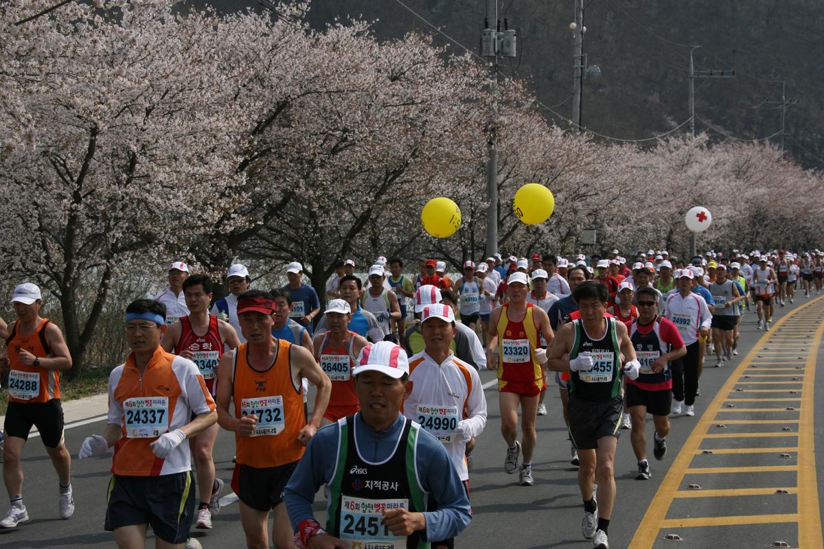 제6회 합천 벚꽃축제 마라톤대회