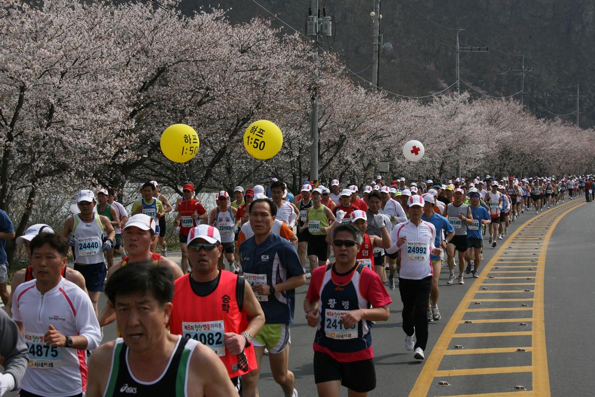 제6회 합천 벚꽃축제 마라톤대회