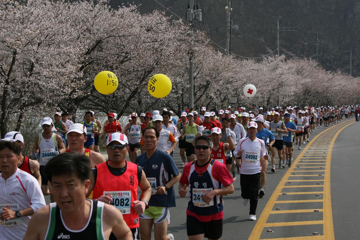 제6회 합천 벚꽃축제 마라톤대회