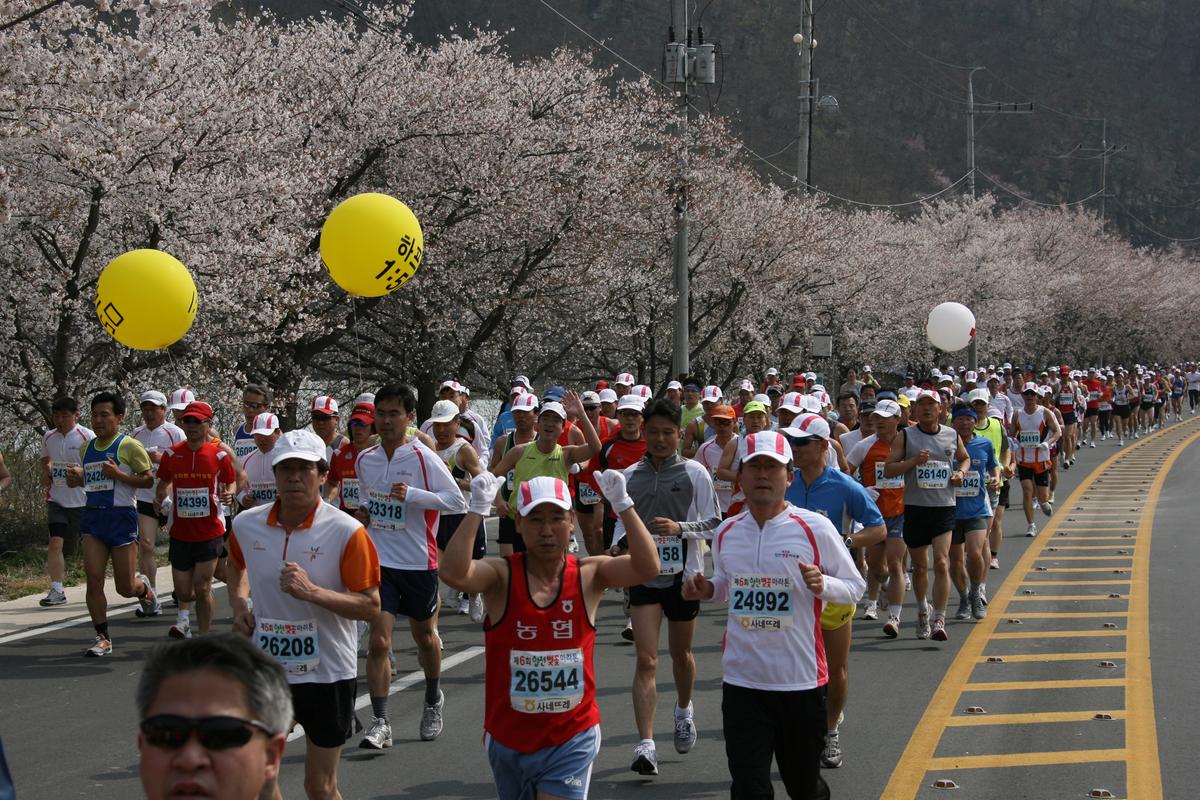 제6회 합천 벚꽃축제 마라톤대회