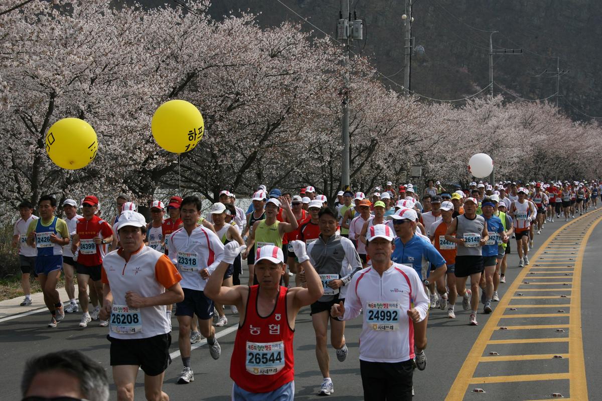제6회 합천 벚꽃축제 마라톤대회