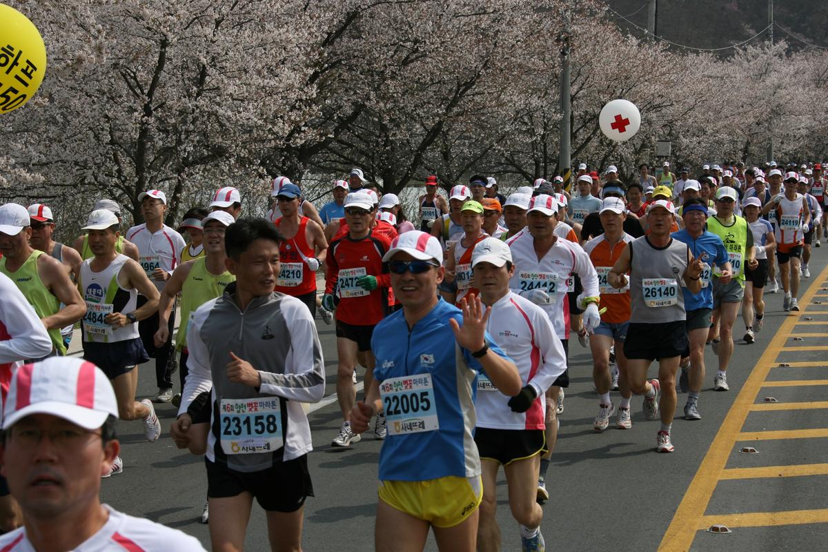 제6회 합천 벚꽃축제 마라톤대회
