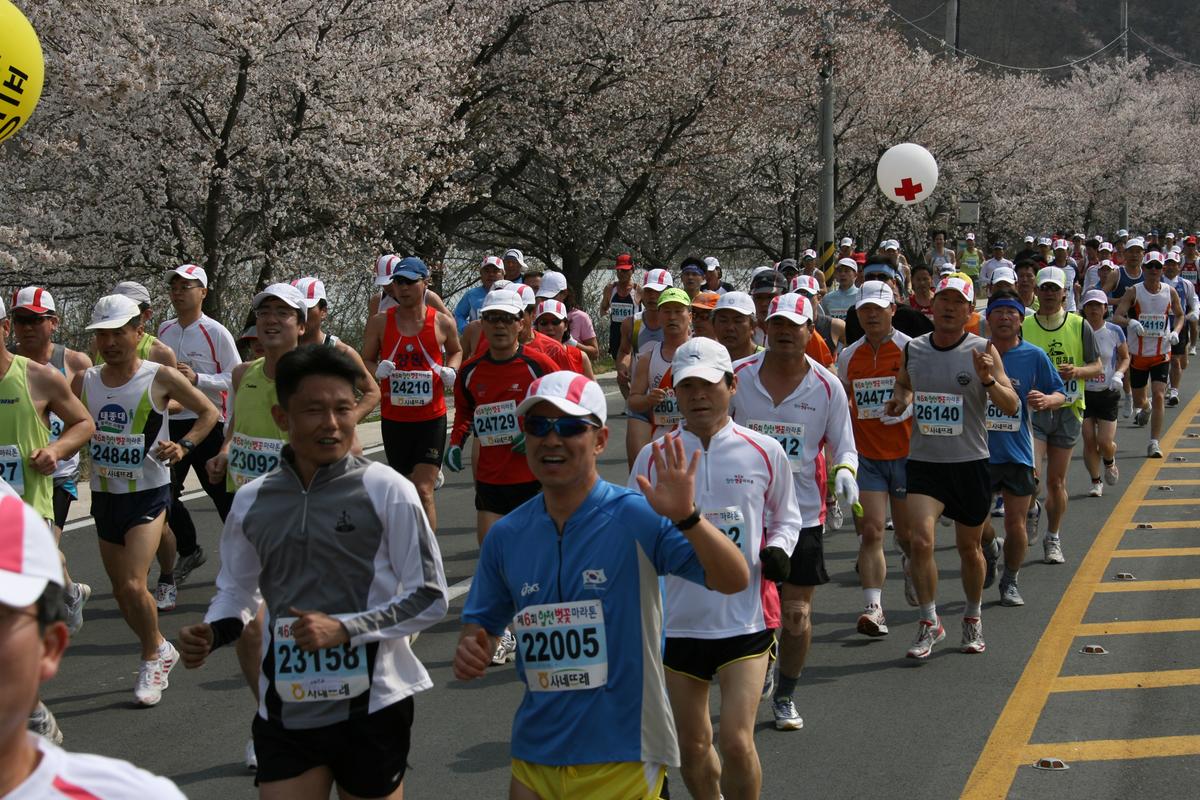 제6회 합천 벚꽃축제 마라톤대회