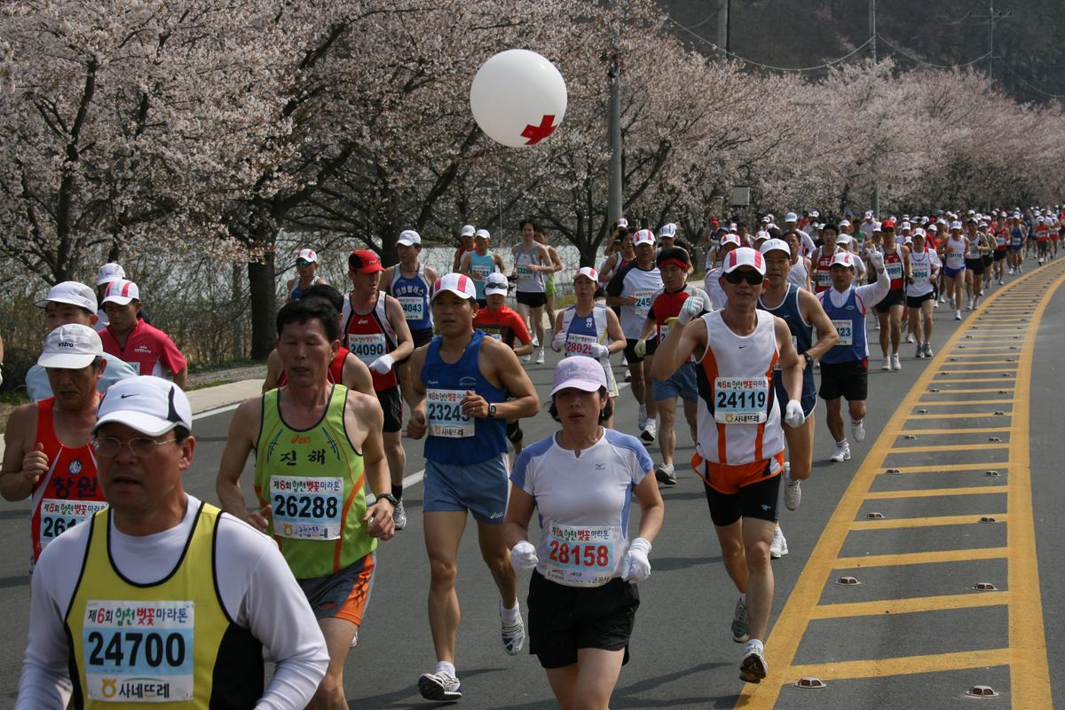 제6회 합천 벚꽃축제 마라톤대회
