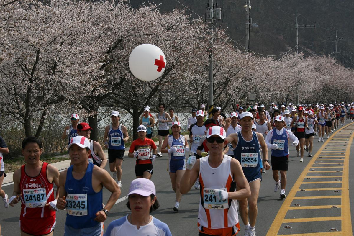 제6회 합천 벚꽃축제 마라톤대회