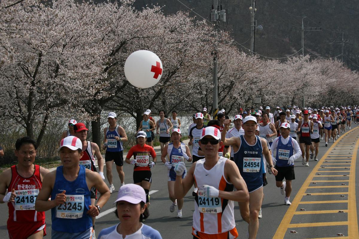 제6회 합천 벚꽃축제 마라톤대회