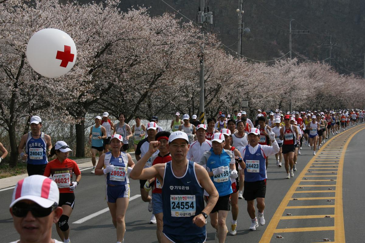 제6회 합천 벚꽃축제 마라톤대회