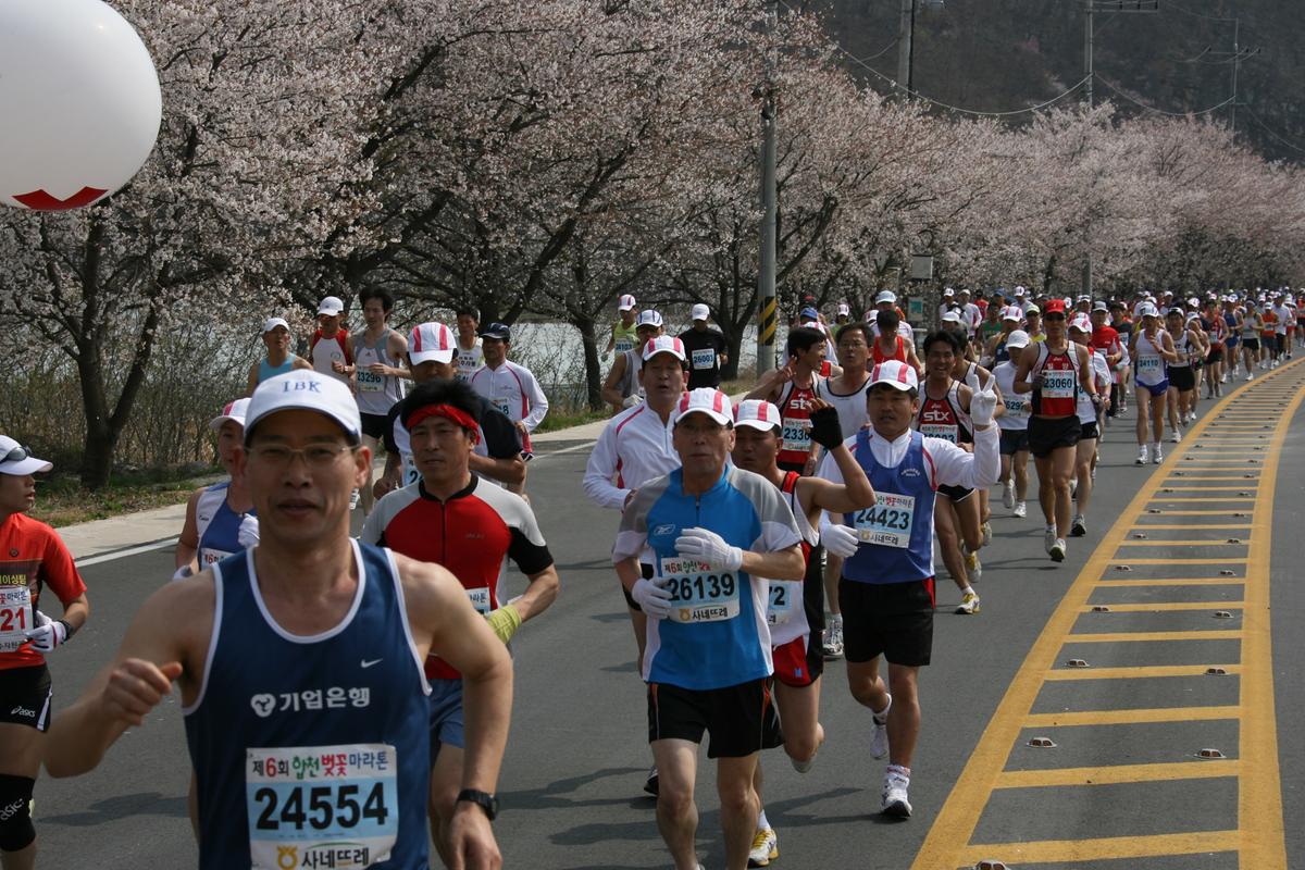 제6회 합천 벚꽃축제 마라톤대회