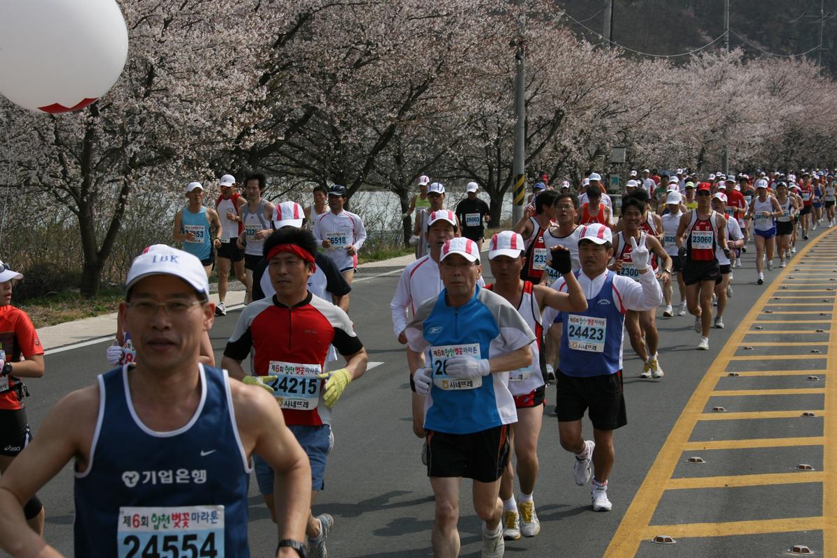 제6회 합천 벚꽃축제 마라톤대회