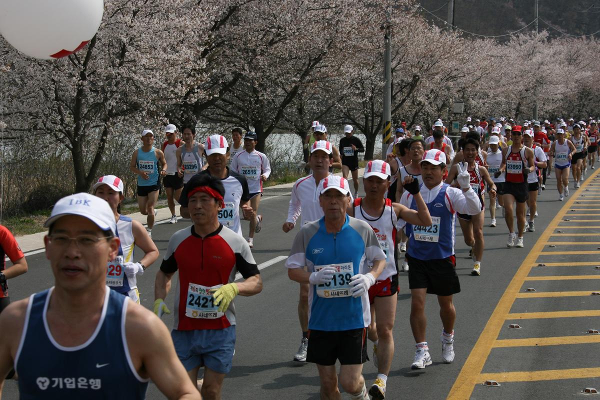 제6회 합천 벚꽃축제 마라톤대회