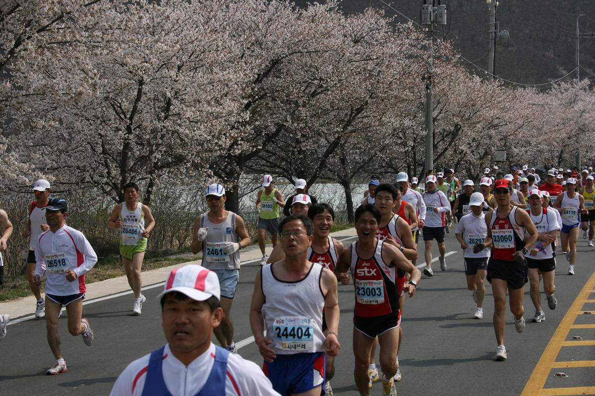 제6회 합천 벚꽃축제 마라톤대회