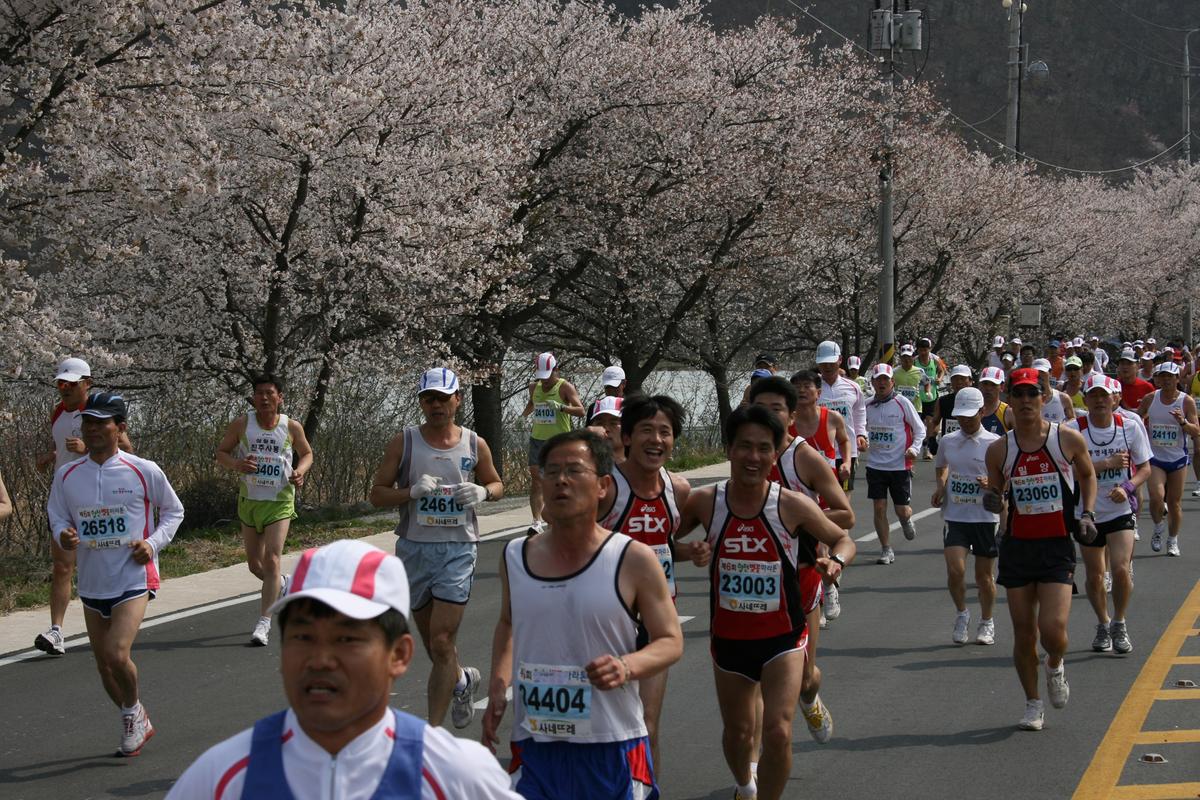 제6회 합천 벚꽃축제 마라톤대회
