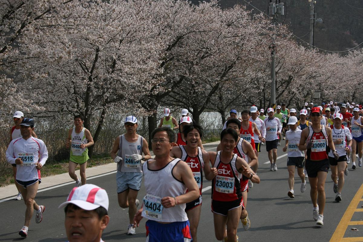 제6회 합천 벚꽃축제 마라톤대회