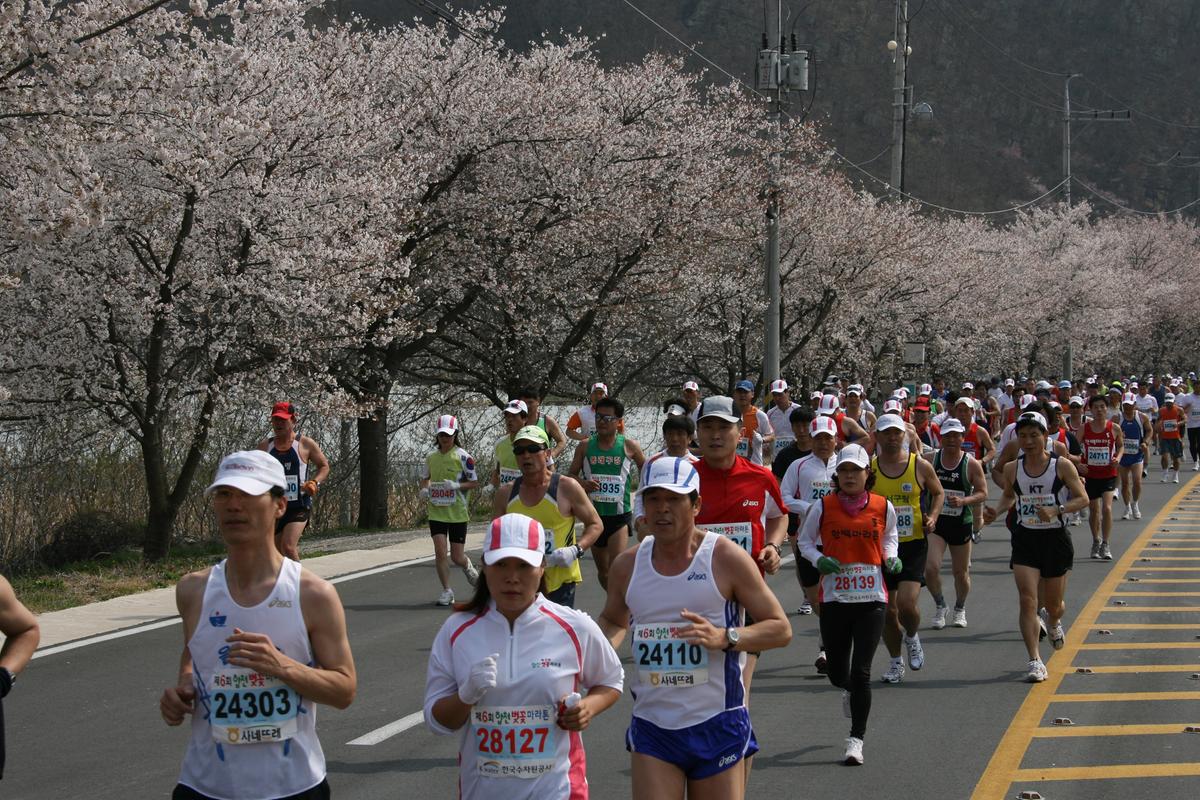 제6회 합천 벚꽃축제 마라톤대회