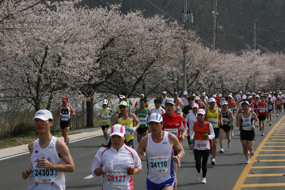 제6회 합천 벚꽃축제 마라톤대회