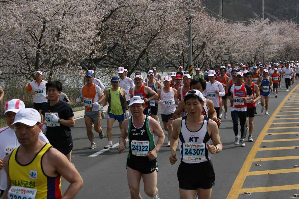 제6회 합천 벚꽃축제 마라톤대회