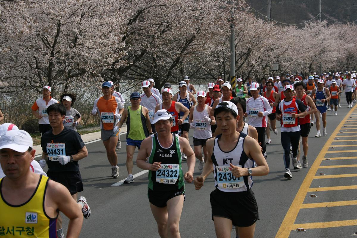 제6회 합천 벚꽃축제 마라톤대회